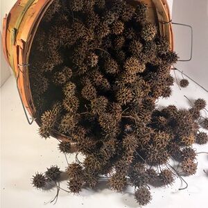 Sweet Gum Balls